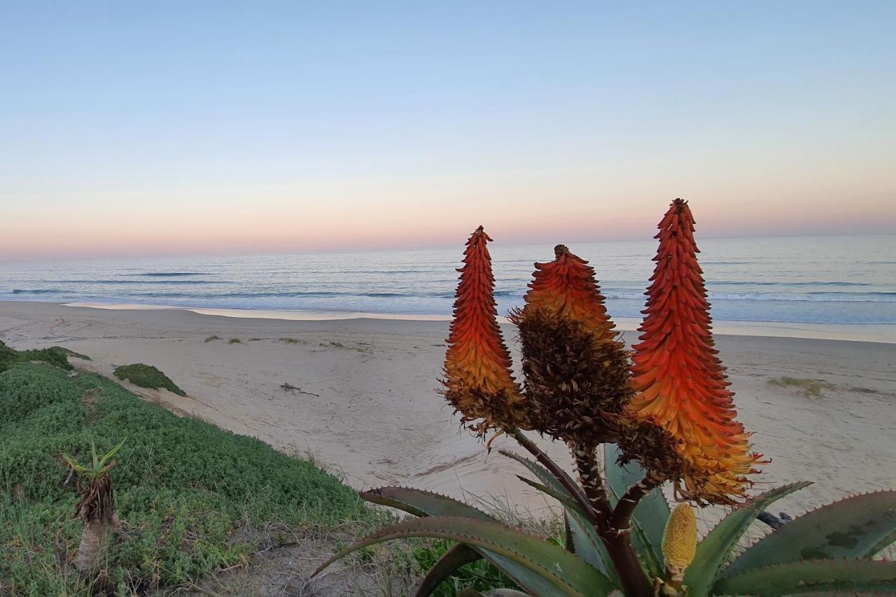 Paradise Found, Paradise Beach, Jeffreys Bay Extérieur photo